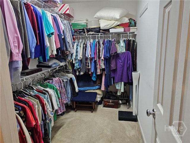127 Lakeshore Dr, Savannah, GA 31419 - walk in closet featuring carpet