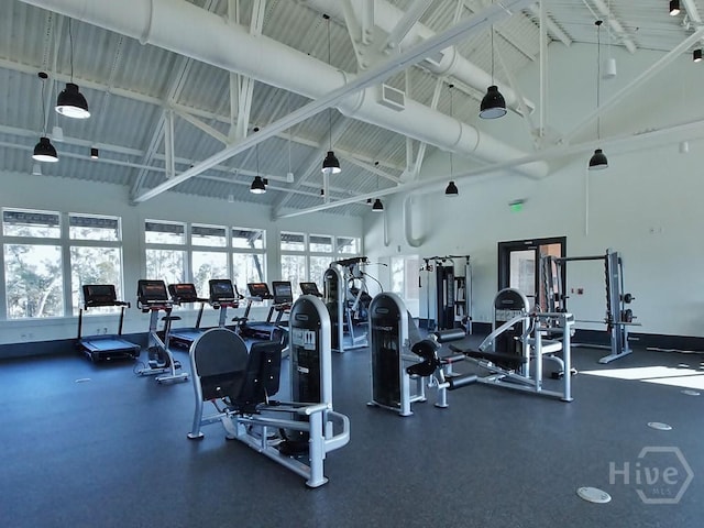 73 Small Pine Ln, Richmond Hill, GA 31324 - workout area with high vaulted ceiling and healthy amount of natural light