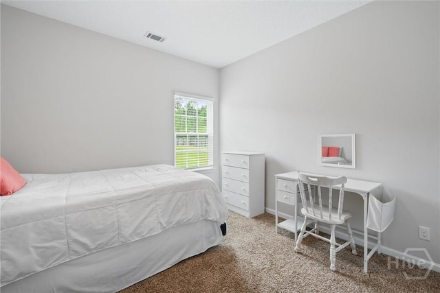 821 NE Mustang Ln, Ludowici, GA 31316 - bedroom with carpet and baseboards