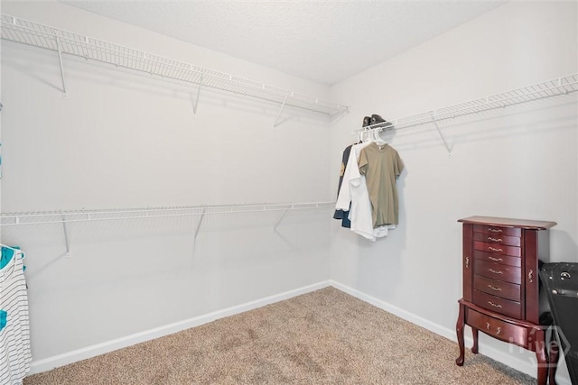 821 NE Mustang Ln, Ludowici, GA 31316 - spacious closet with carpet