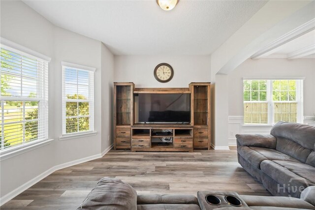 821 NE Mustang Ln, Ludowici, GA 31316 - living area featuring plenty of natural light and wood finished floors