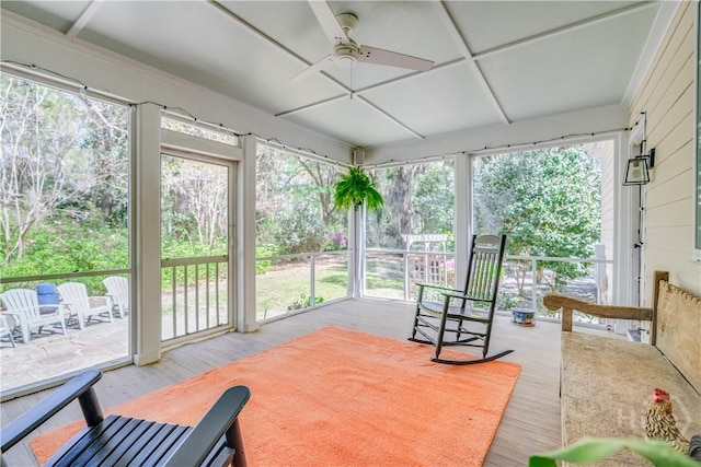 8720 Ferguson Ave, Savannah, GA 31406 - sunroom with ceiling fan and wood finished floors