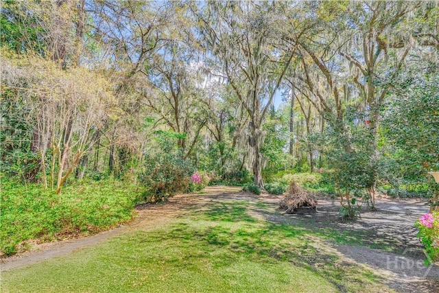 8720 Ferguson Ave, Savannah, GA 31406 - view of grassy yard