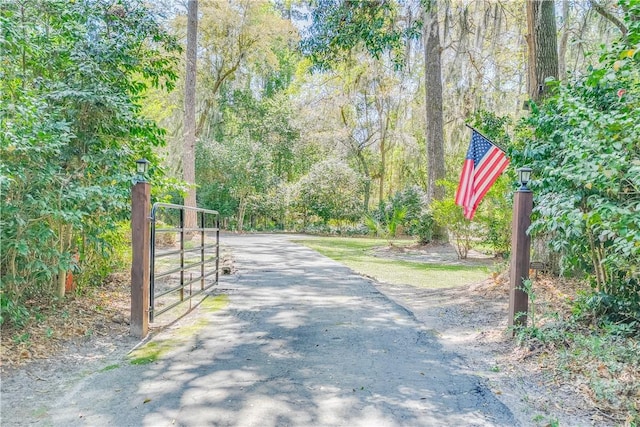 8720 Ferguson Ave, Savannah, GA 31406 - view of street with a gate, a wooded view, and a gated entry