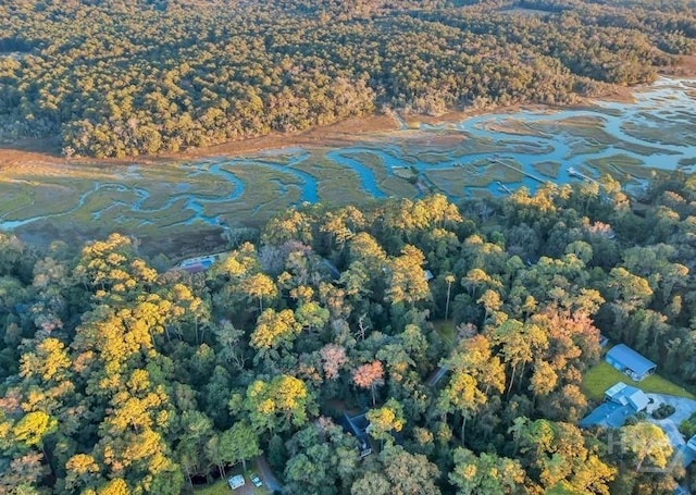 8720 Ferguson Ave, Savannah, GA 31406 - drone / aerial view of a heavily wooded area