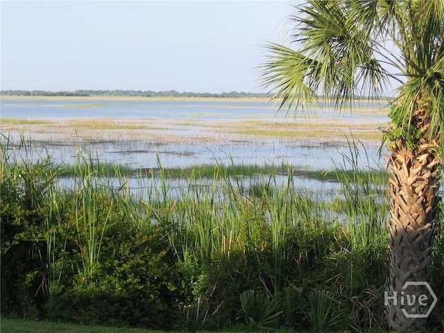 104 Bull River Bluff Dr Unit 104, Savannah, GA 31410 - water view