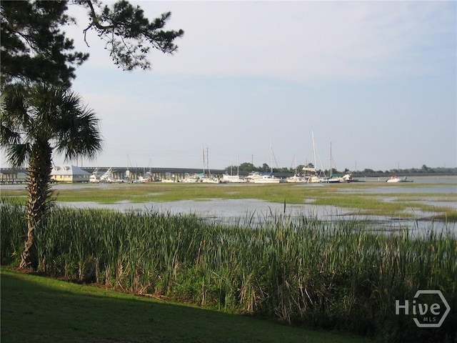 104 Bull River Bluff Dr Unit 104, Savannah, GA 31410 - water view