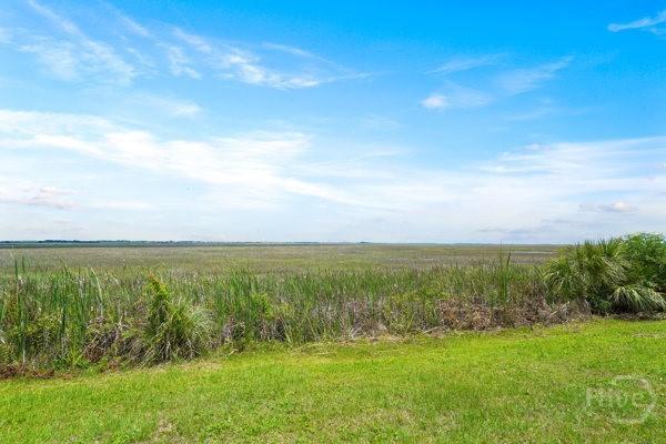 104 Bull River Bluff Dr Unit 104, Savannah, GA 31410 - view of nature with rural landscape