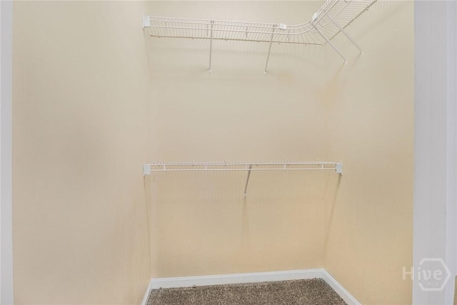 817 Granite Ln, Savannah, GA 31419 - spacious closet featuring carpet floors
