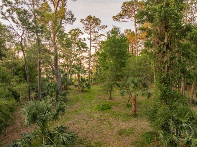 48 Delegal Rd, Savannah, GA 31411 - photo 10
