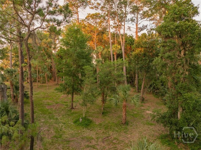 48 Delegal Rd, Savannah, GA 31411 - photo 13