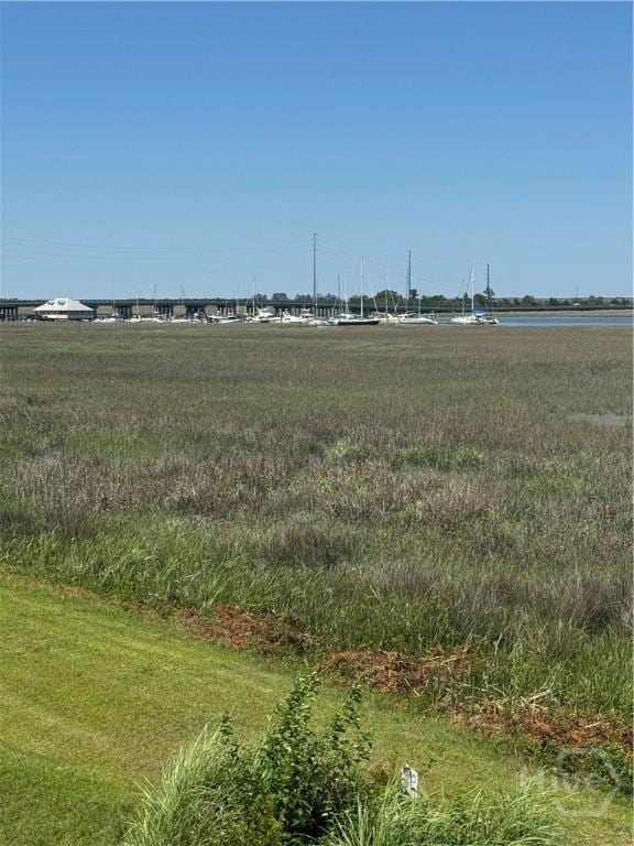 142 Bull River Bluff Dr, Savannah, GA 31410 - view of local wilderness