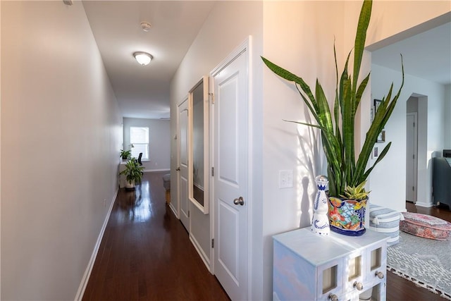 79 Timber Crest Ct, Savannah, GA 31407 - photo 12