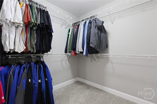 115 Meadowlands Dr, Rincon, GA 31326 - spacious closet featuring carpet floors