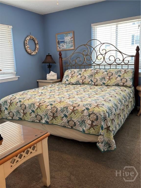 1 Center St Unit 3, Tybee Island, GA 31328 - bedroom with multiple windows and carpet
