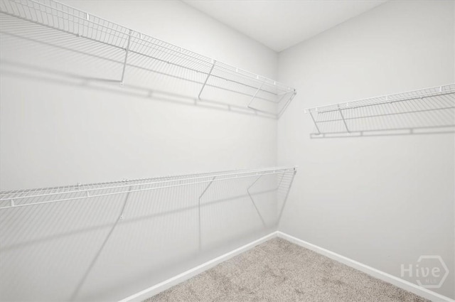 301 Akins Ranch Rd NE, Ludowici, GA 31316 - walk in closet with carpet