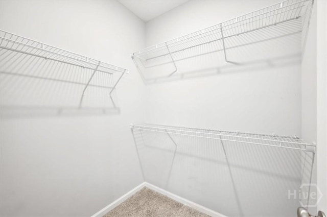 301 Akins Ranch Rd NE, Ludowici, GA 31316 - spacious closet with carpet