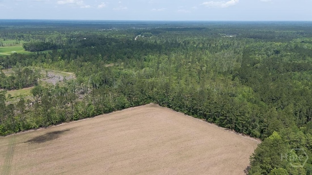 0 Old Louisville Rd Lot 1, Guyton, GA 31312
