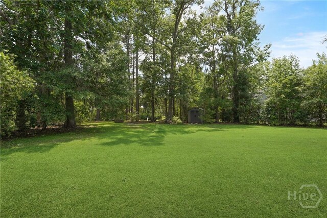 38 Sterling Woods Dr, Richmond Hill, GA 31324 - photo 43