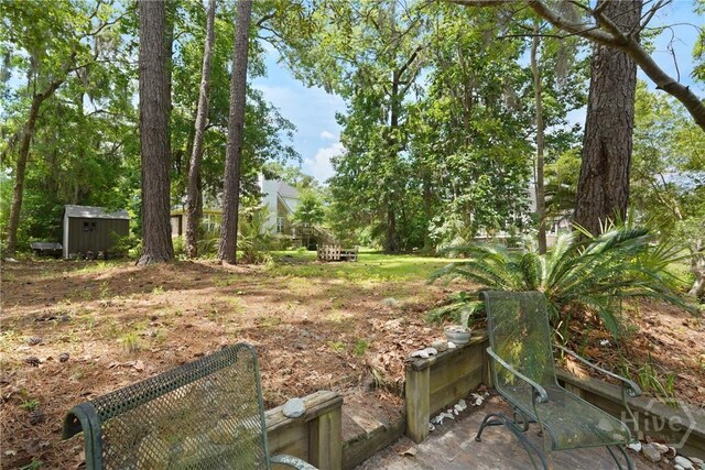 38 Sterling Woods Dr, Richmond Hill, GA 31324 - photo 47