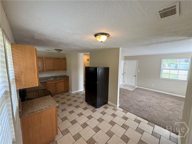 115 New Stillwell Rd, Springfield, GA 31329 - kitchen with freestanding refrigerator, a sink, baseboards, a textured ceiling, and light carpet
