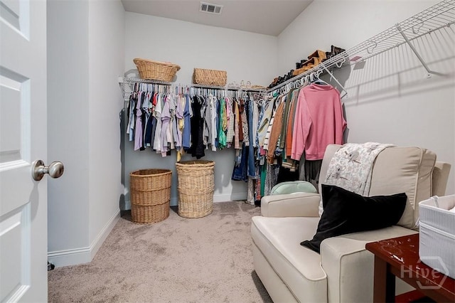 202 Thatcher St, Guyton, GA 31312 - walk in closet featuring carpet