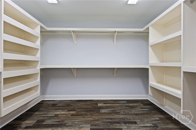 194 Shortleaf Trl, Richmond Hill, GA 31324 - spacious closet with dark wood-type flooring