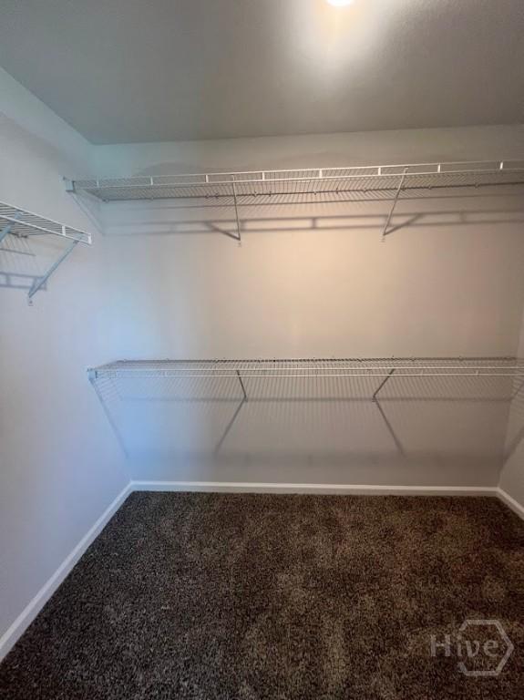 139 Sams Dr, Guyton, GA 31312 - walk in closet featuring carpet floors