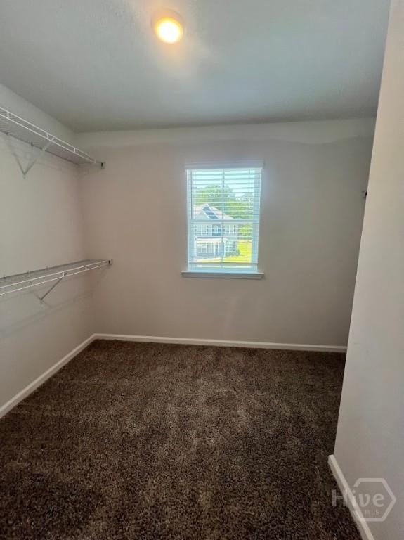 139 Sams Dr, Guyton, GA 31312 - spacious closet with carpet flooring