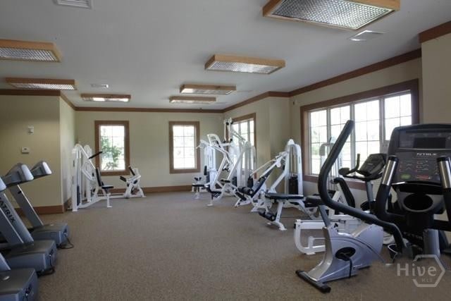 32 Brookhaven Dr, Savannah, GA 31407 - exercise room with crown molding and baseboards
