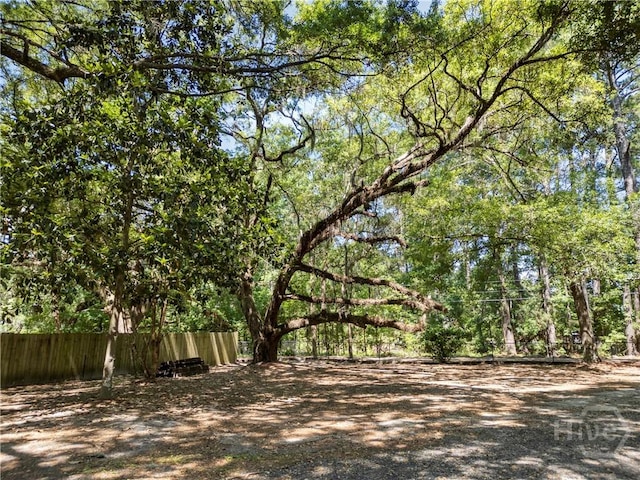 124 Denham Ln, Midway, GA 31320 - view of yard