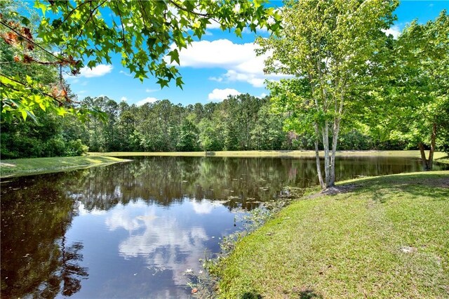 33 Blackberry Cir, Guyton, GA 31312 - photo 33
