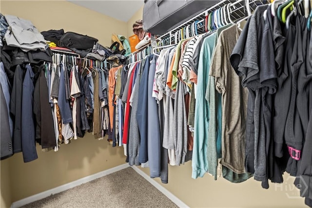 46 Central Park Way, Savannah, GA 31407 - spacious closet with carpet flooring