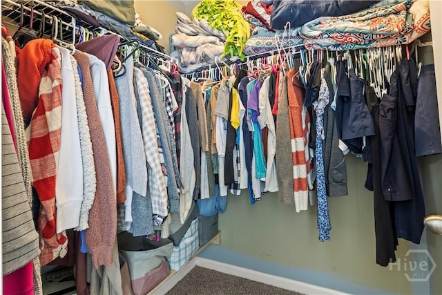 46 Central Park Way, Savannah, GA 31407 - walk in closet with carpet floors