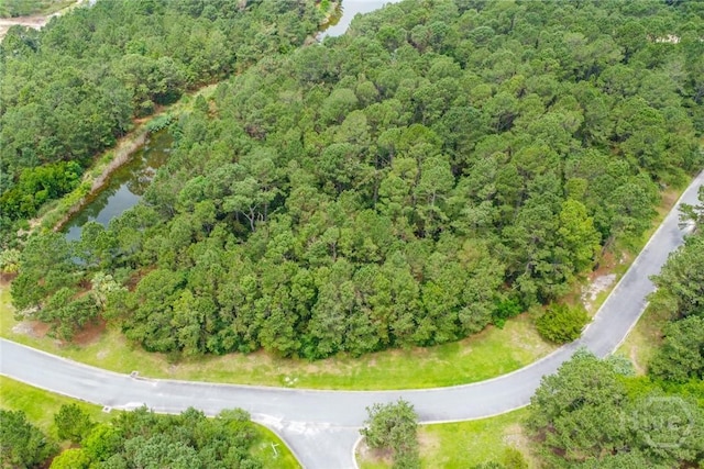 876 Jerico Marsh Rd, Midway, GA 31320