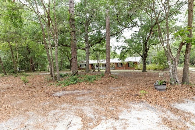 701 Log Landing Rd, Springfield, GA 31329 - photo 6