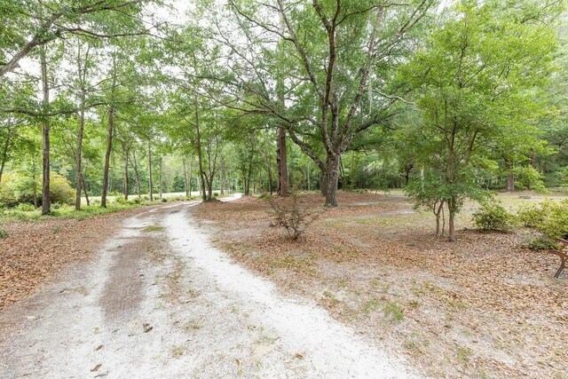 701 Log Landing Rd, Springfield, GA 31329 - photo 11