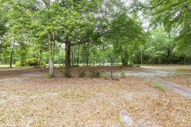 701 Log Landing Rd, Springfield, GA 31329 - photo 16