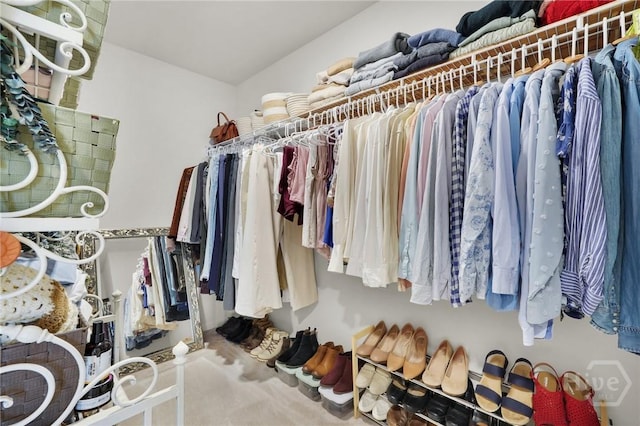 142 Benelli Dr, Pooler, GA 31322 - spacious closet with carpet