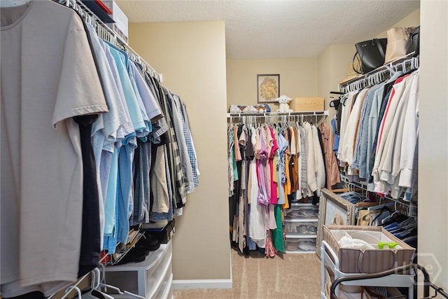 43 Godley Park Way, Savannah, GA 31407 - spacious closet with carpet floors