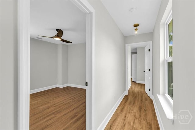 716 Waters Ave, Savannah, GA 31404 - hall with wood finished floors and baseboards