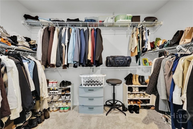 22 Stetson Dr, Savannah, GA 31419 - walk in closet featuring carpet flooring