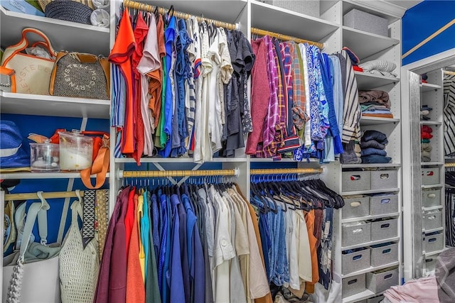 103 Safari Trl, Pooler, GA 31322 - view of walk in closet