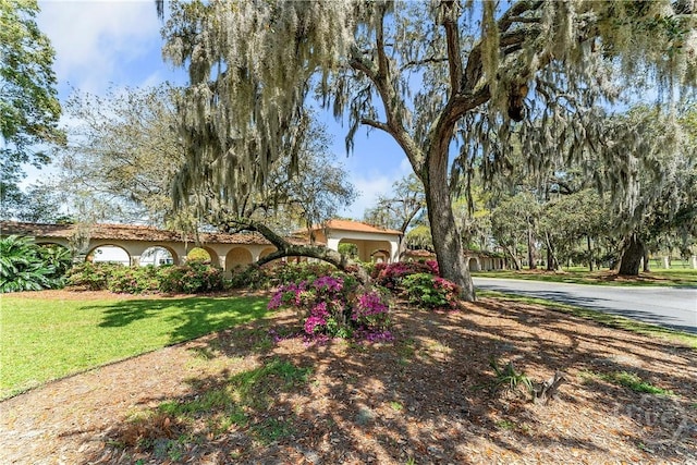 700 Wilmington Island Rd Unit 305, Savannah, GA 31410 - view of front facade with stucco siding and a front yard