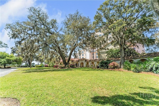 700 Wilmington Island Rd Unit 305, Savannah, GA 31410 - view of grassy yard