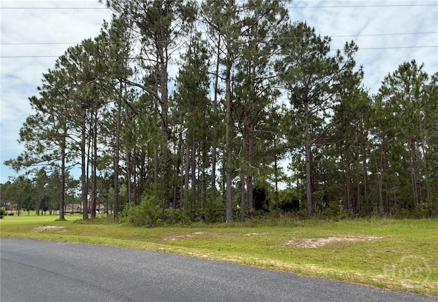 LOT5 Centerbrook Rd, Vidalia, GA 30474 - photo 1