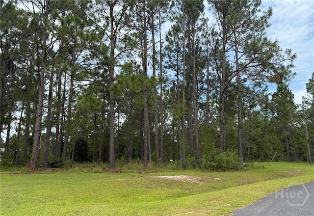LOT5 Centerbrook Rd, Vidalia, GA 30474 - photo 2