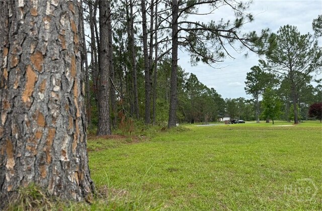 LOT5 Centerbrook Rd, Vidalia, GA 30474 - photo 4