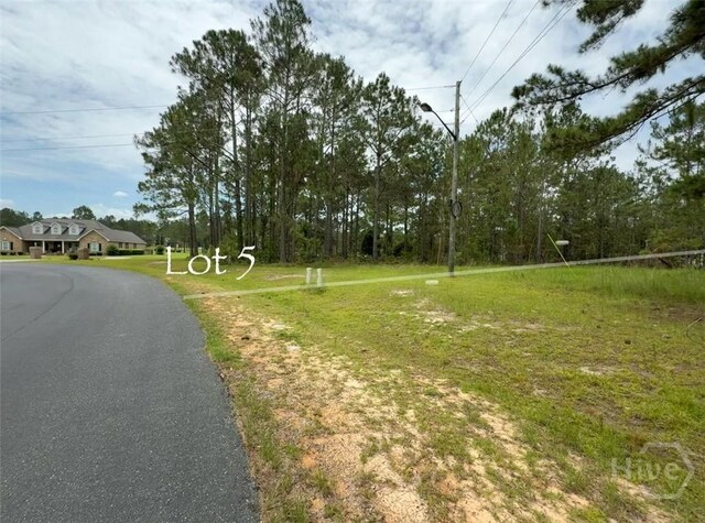 LOT5 Centerbrook Rd, Vidalia, GA 30474 - photo 5