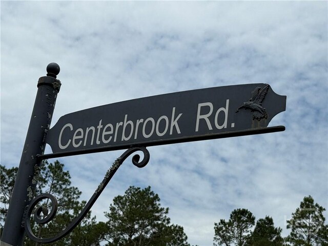 LOT5 Centerbrook Rd, Vidalia, GA 30474 - photo 9
